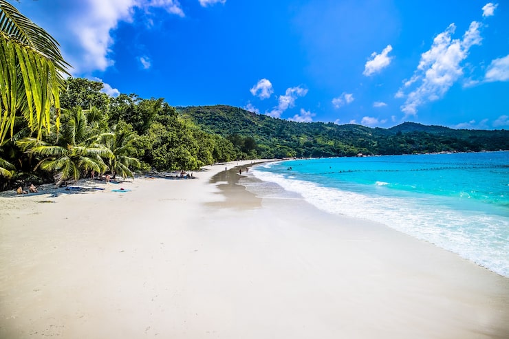 Foto gratuito spiaggia circondata dal mare e dal verde sotto la luce del sole e un cielo blu a praslin alle seychelles