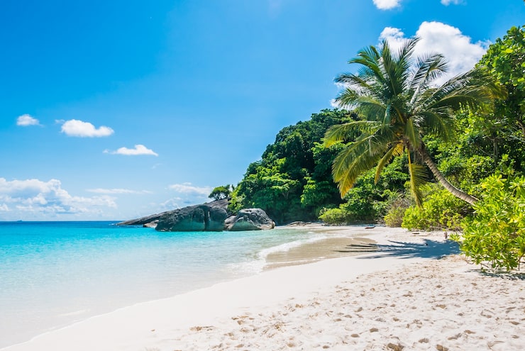 Foto gratuito spiaggia tropicale con sabbia bianca