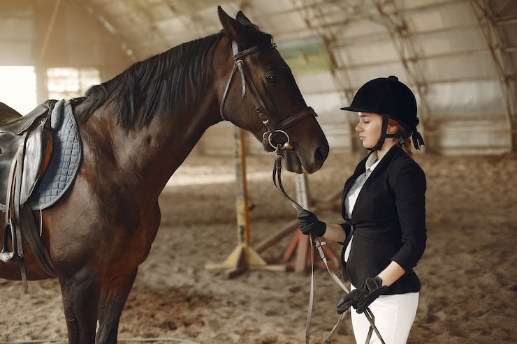 Foto gratuito treno di cavalieri con il cavallo