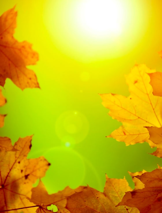 Foto sfondamento autunnale