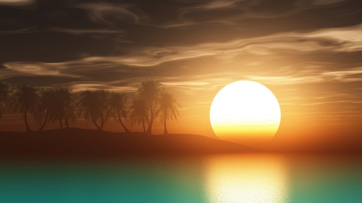 Zdarma Fotografie 3d renderování palem při západu slunce