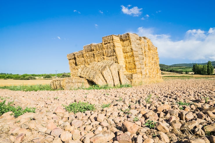 Zdarma Fotografie balíky slámy v la rioja, španělsko