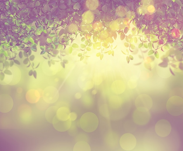 Zdarma Fotografie bokeh listů
