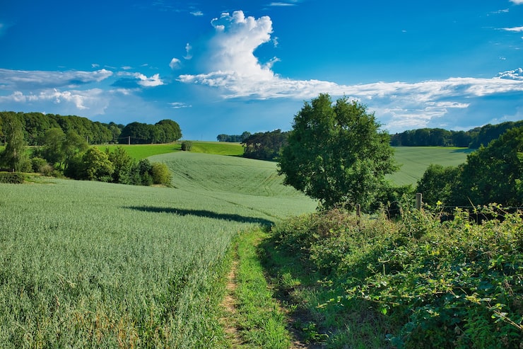 Zdarma Fotografie rozlehlá krajina zelené trávy a stromů pod modrou oblohou