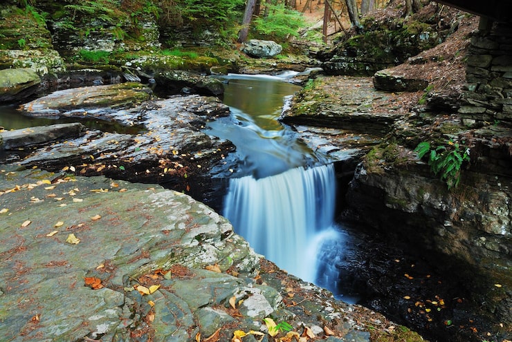 Zdarma Fotografie woods creek
