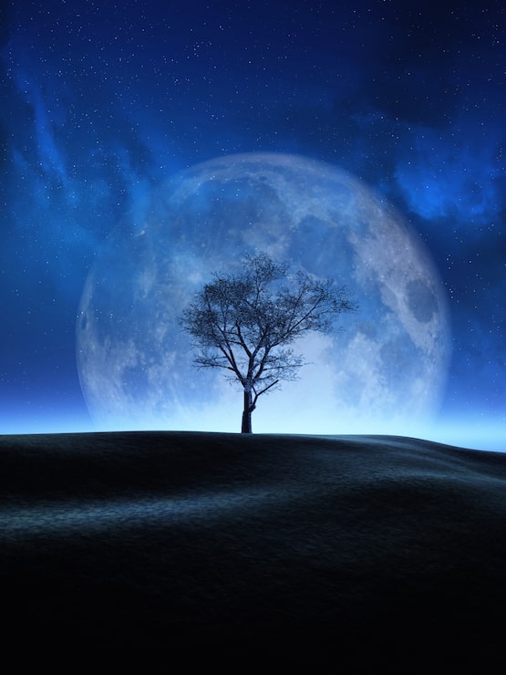 Foto grátis árvore 3d contra um céu noturno da lua