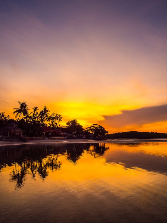 Foto grátis belas praias tropicais, mar e oceano com palmeiras de coco ao nascer do sol.