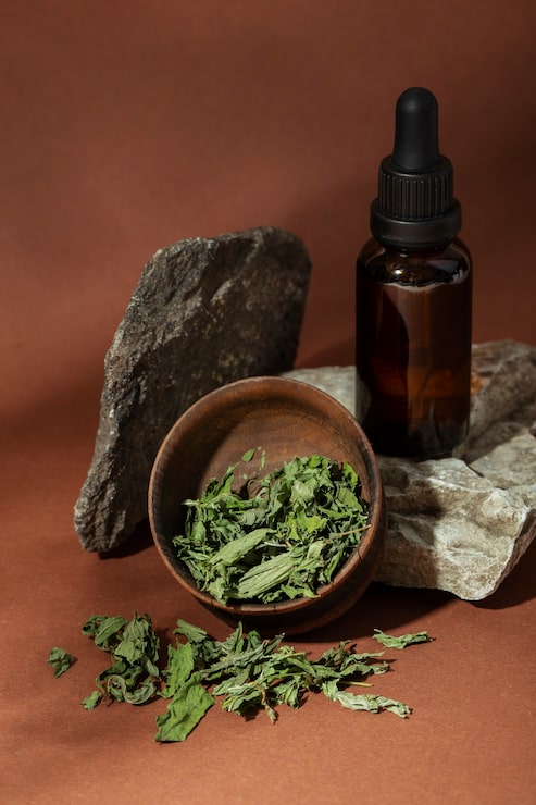 Foto grátis fitoterapia de alto ângulo com variedade de plantas