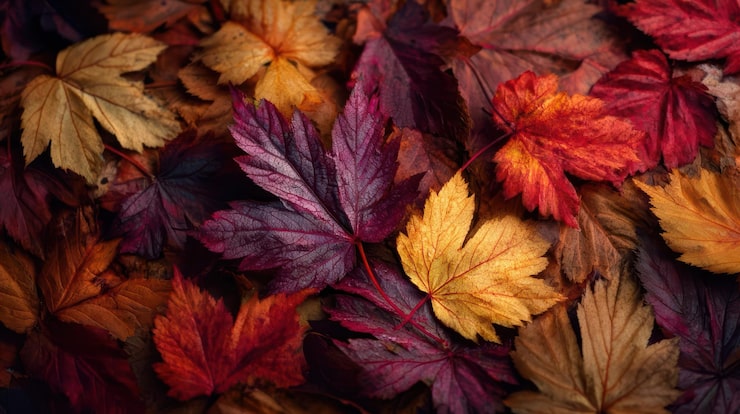 Kostenlose Foto leuchtende herbstblätter textur