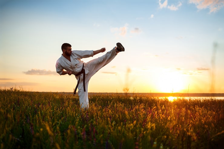 Kostenlose Foto silhouette des sportlichen mannes, der karate im feld bei sonnenaufgang trainiert.
