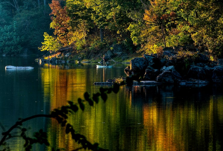 Foto bäume am see im herbst