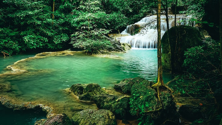 Foto hermosa cascada en bosque verde