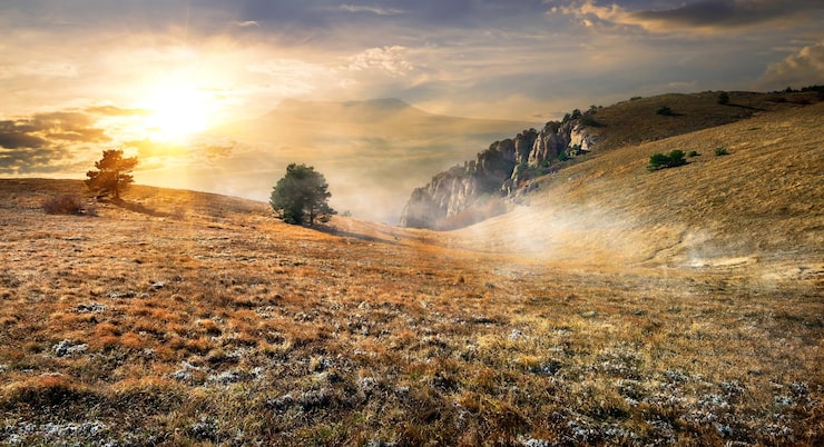 Foto hierba seca en campo en las montañas en otoño