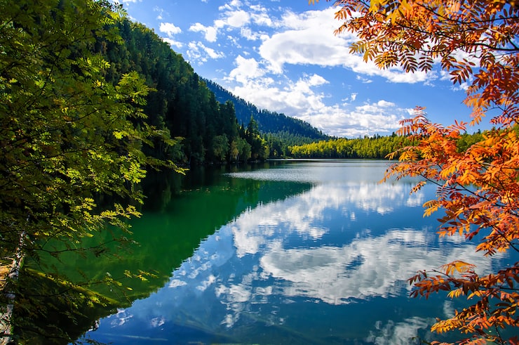 Foto montaña otoño verde siberia lago con reflexión y rowan rojo