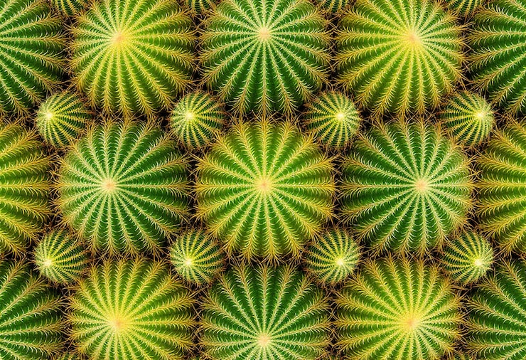 Close up on  natural texture
