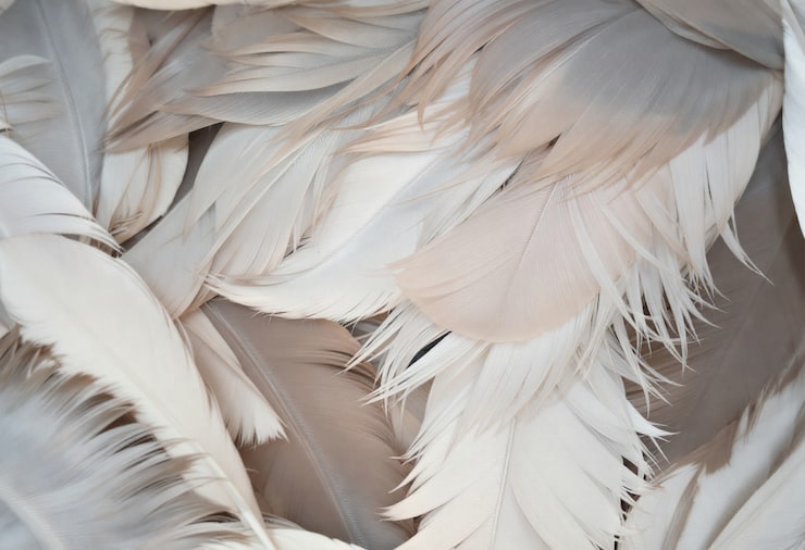 Close up on  natural texture
