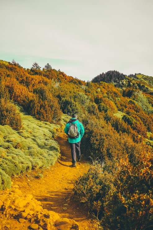 Бесплатный Фотография hiker гуляя через природу