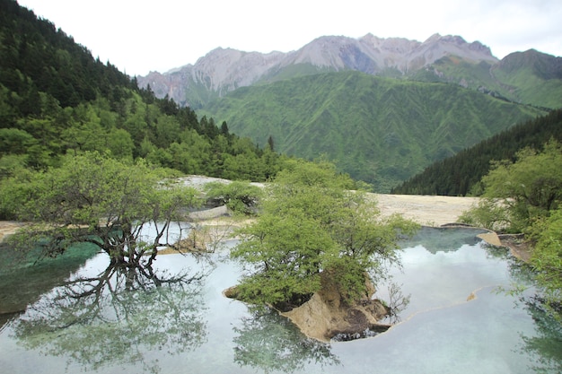 免费Photo 自然景观