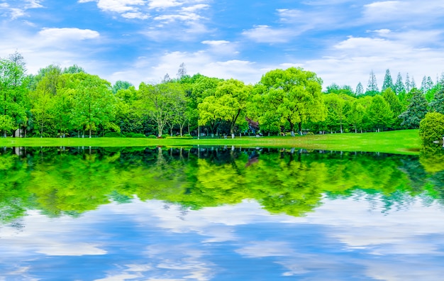 免费Photo 反射 花园 风景 草坪 抽象背景 蓝天白云