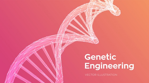 無料Vector dna配列。抽象的な3 dポリゴンワイヤフレームdnaコード分子構造メッシュ。