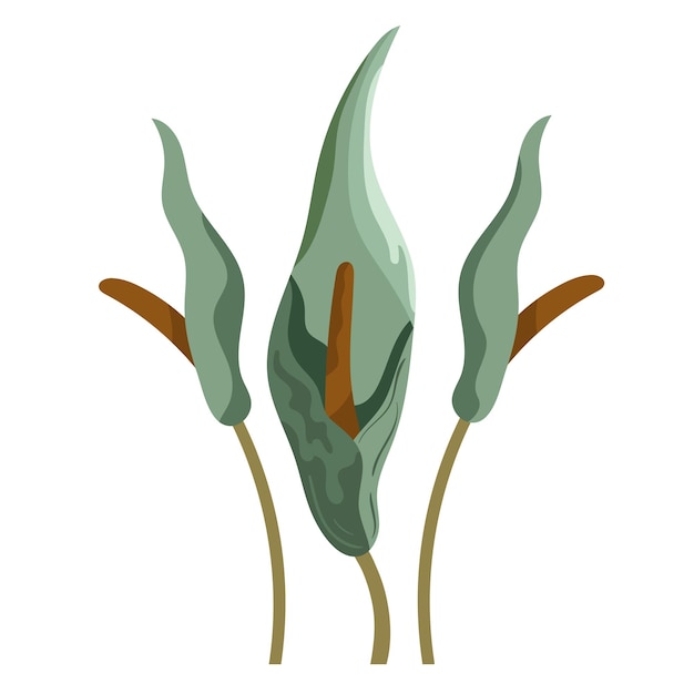 無料Vector エキゾチックなヘリコニアの花