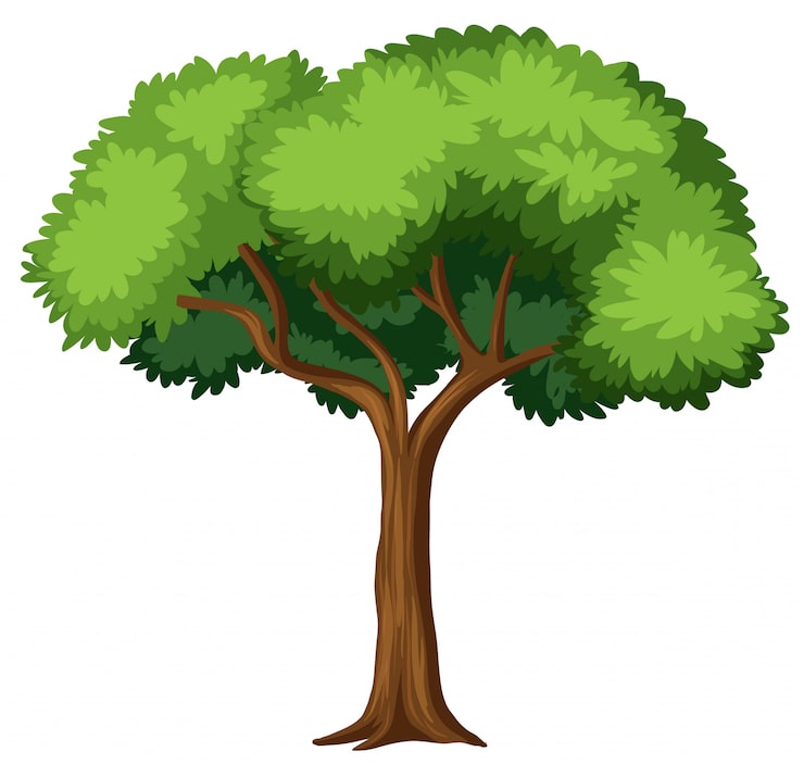 免費 Vector 白色背景上的孤立树