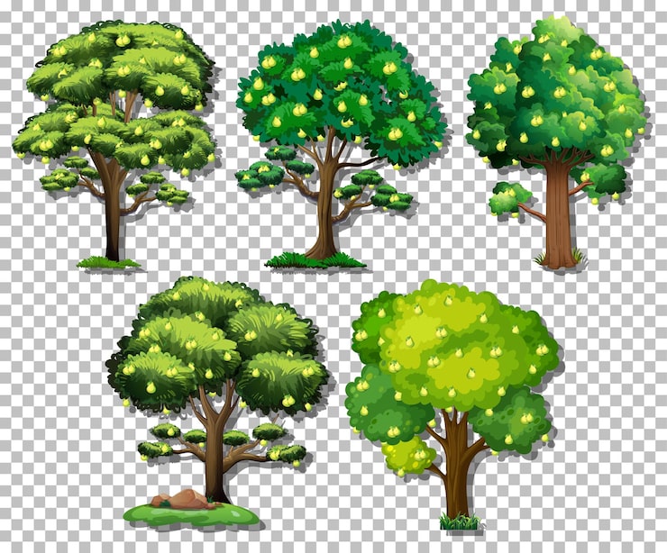 免費 Vector 透明背景上的不同树木集
