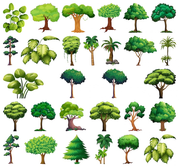 免費 Vector 品種植物和樹木的集合