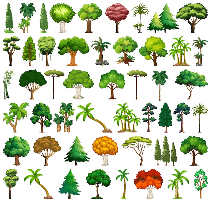 免費 Vector 品種植物和樹木的集合