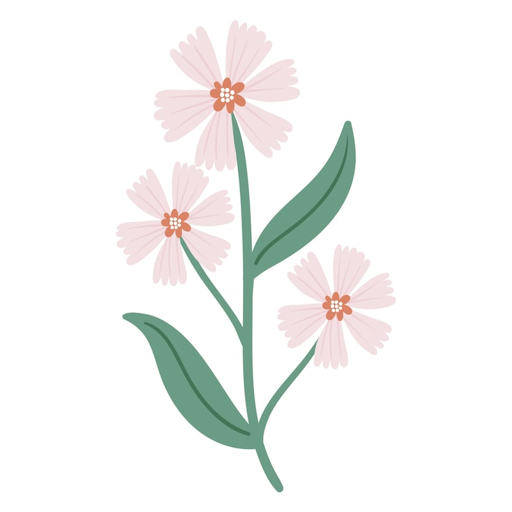 Kostenlose PSD handgezeichnete blumenzeichnung
