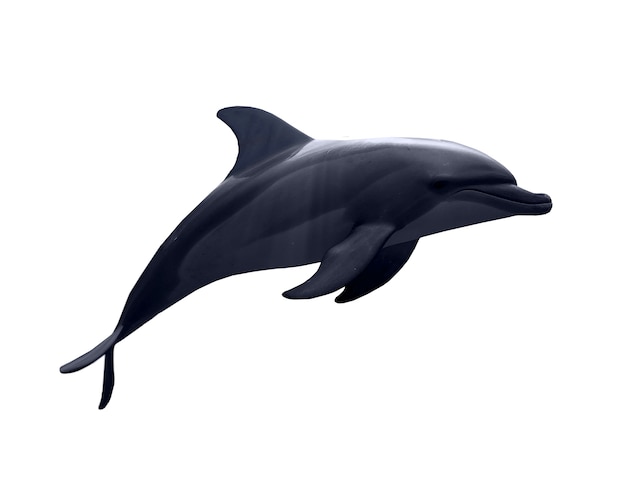 Kostenlose PSD isolierte figur von delfin