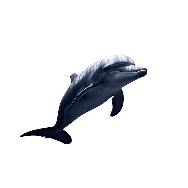 Kostenlose PSD isolierte figur von delfin