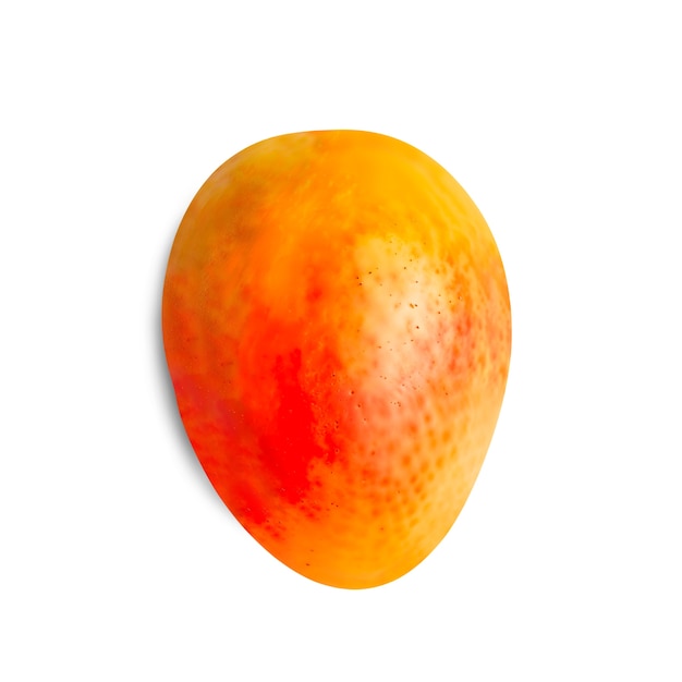 Kostenlose PSD mangofrucht isoliert