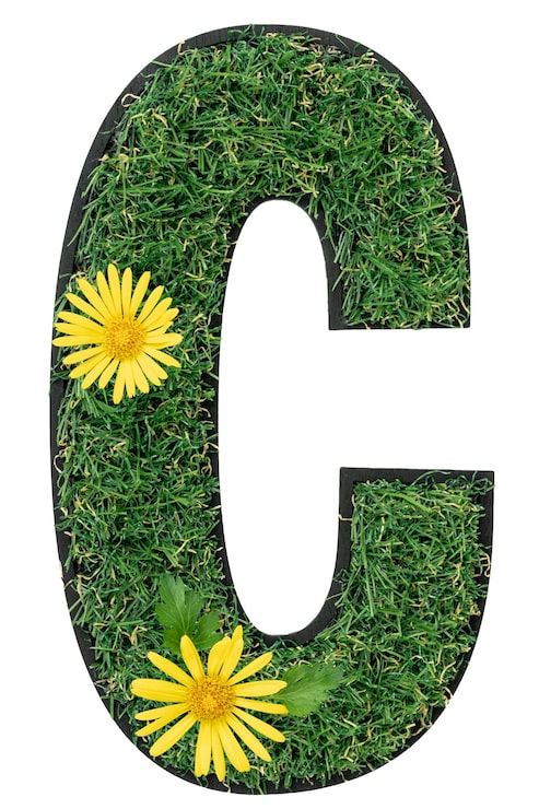 Gratis Foto bokstaven c laget av grønt gress med blomster isolert på hvitt