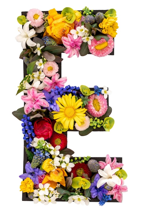 Gratis Foto bokstaven e laget av ekte naturlige blomster og blader på hvit bakgrunn isolert