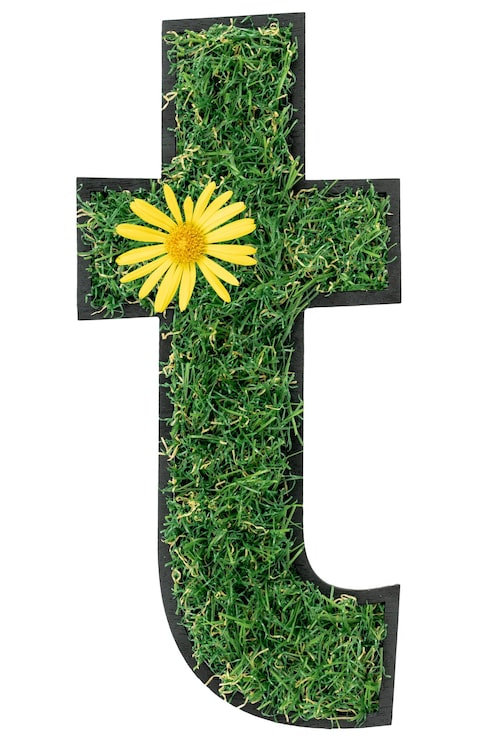 Gratis Foto bokstaven t laget av grønt gress med blomster isolert på hvitt