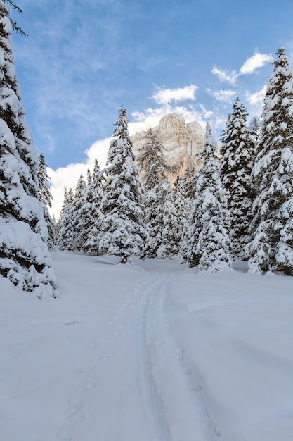 Gratis Foto dolomittene