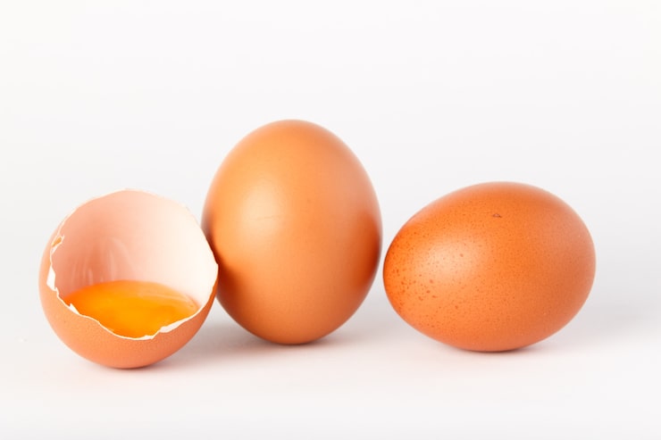 Gratis Foto egg isolert på hvit overflate