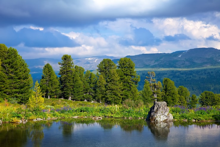 Gratis Foto fjellinnsjø