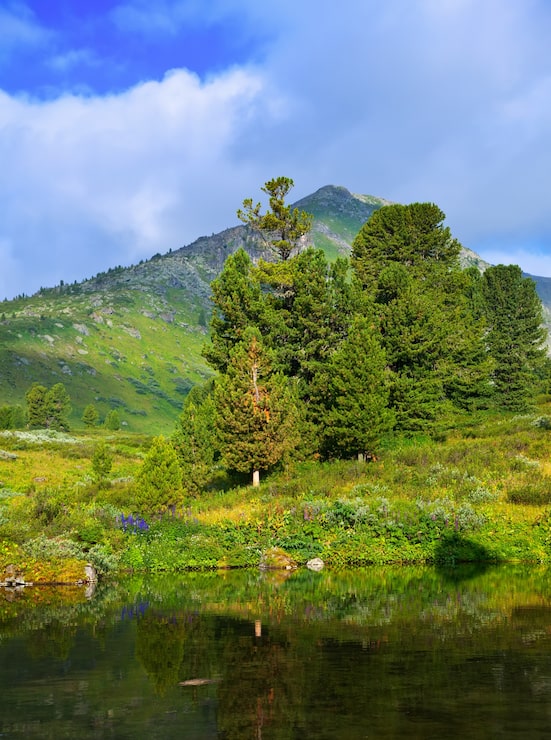 Gratis Foto fjellvann. altai, sibir