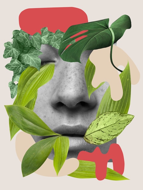 Gratis Foto luktesans og plante-collage