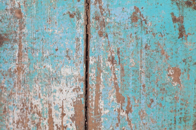 Gratis Foto lyseblått tre