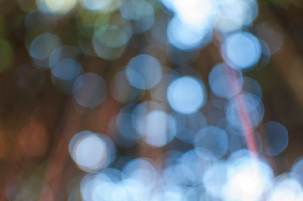 Gratis Foto tre bokeh