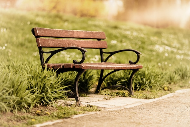 Gratis Foto trebenk isolert i parken