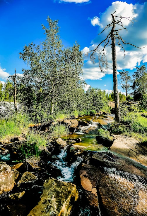 Gratis Foto vertikalt bilde av en vannstrøm som flyter midt i steinene omgitt av naturen i sverige
