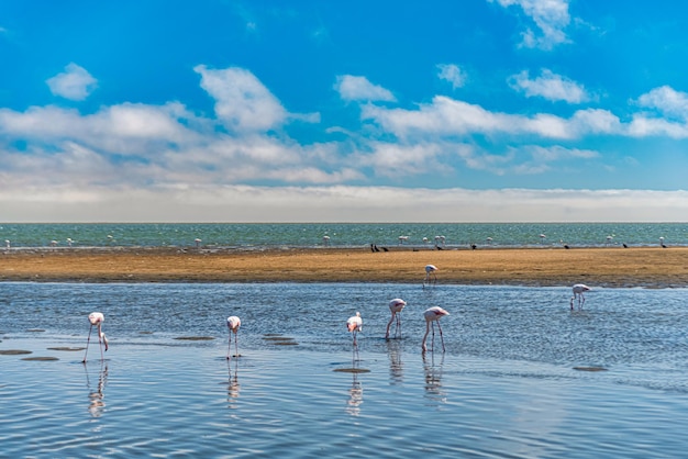 Gratis Foto walvis bay namibia 16. april 2024