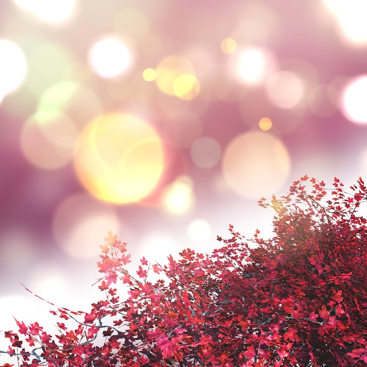 Gratis Foto 3d ahorn træ på en bokeh lys baggrund