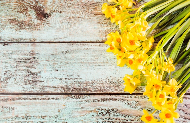 Gratis Bild blommor
