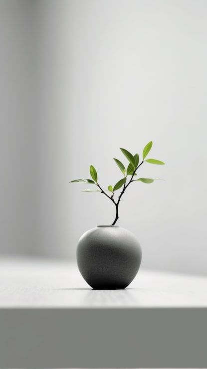 Gratis Bild elegant modern vasdesign