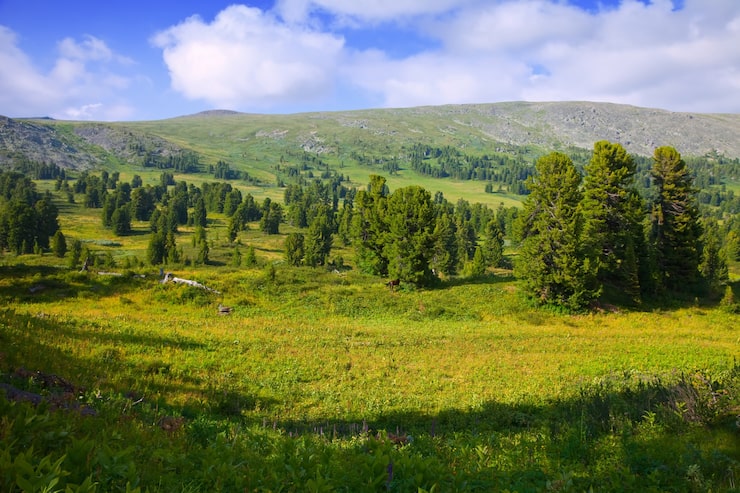 Gratis Bild enkelt bergslandskap